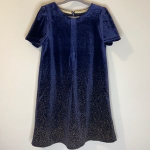 Velvet Navy Blue w/ Gold Dust Holiday Party Dress. Size 3-4 Years